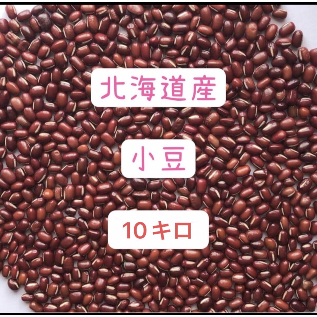 北海道産小豆(あずき)　10キロ　無農薬栽培　米/穀物