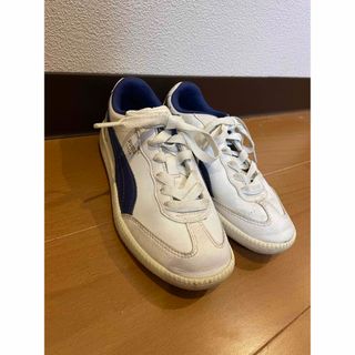 プーマ(PUMA)のキッズ　男の子  プーマ　PUMA   スニーカー　シューズ  20cm(スニーカー)