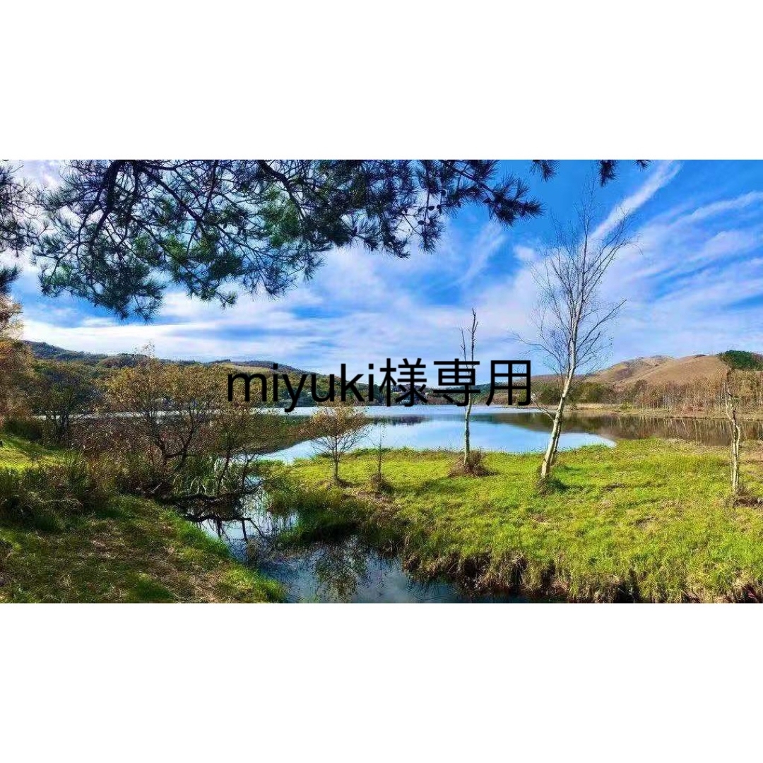 miyuki様専用の通販 by tora's shop|ラクマ