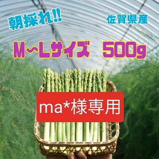 ma*様専用　グリーンアスパラガス500g(野菜)