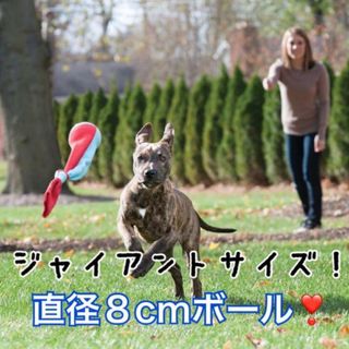 ♡犬用ボール♡牛骨粉フレーバー靴下フライングディスク大型犬中型犬大きなおもちゃ