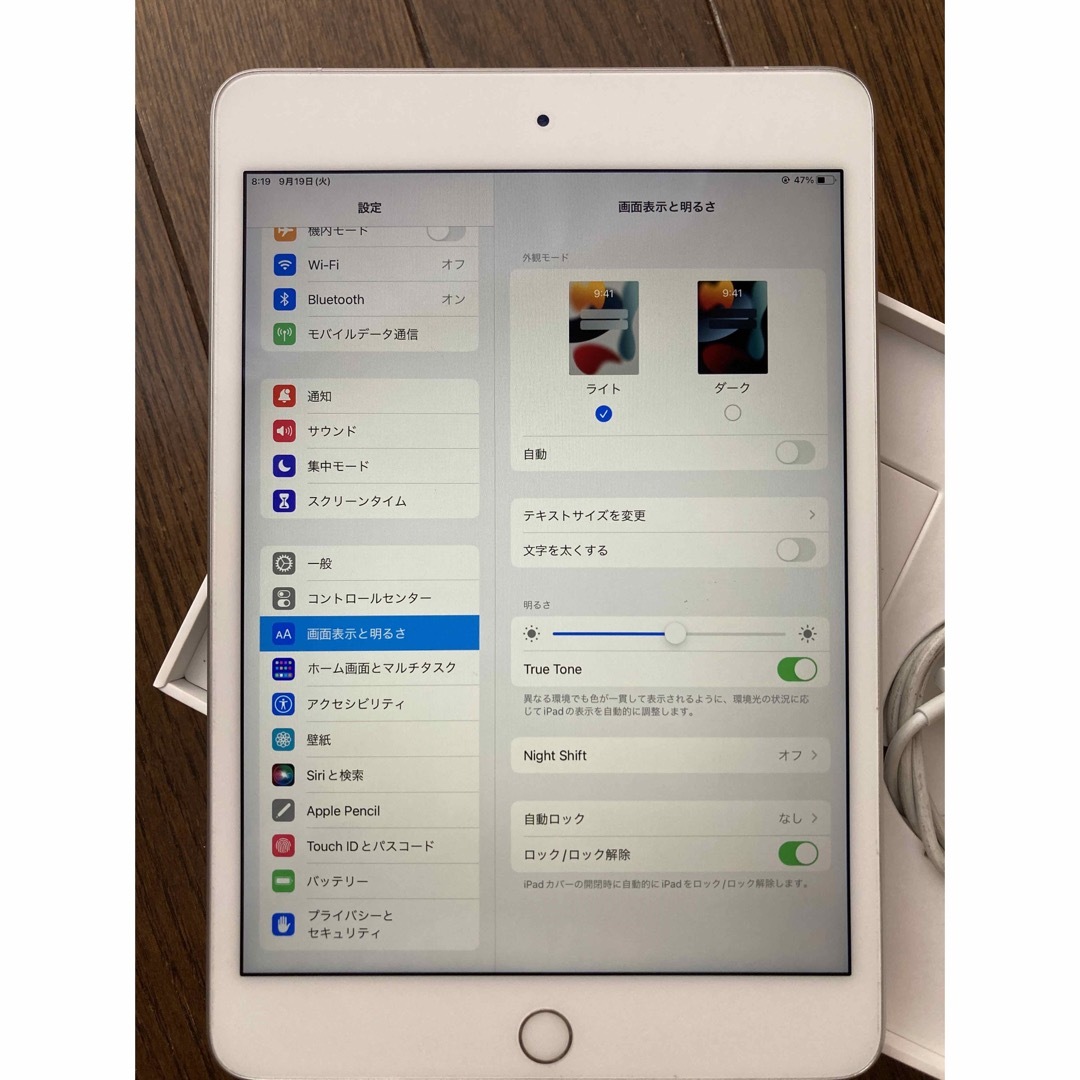Apple iPad mini 5 セルラーモデル 256GB