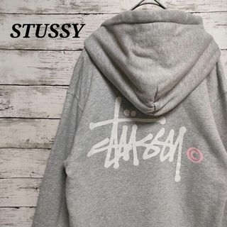 ステューシー(STUSSY)のstussy　ステューシー　パーカー　ビッグプリント　デカロゴ(パーカー)