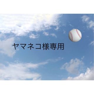 ハンシンタイガース(阪神タイガース)のヤマネコ様専用　プロ野球チップス2023 中野拓夢サインカード(スポーツ選手)