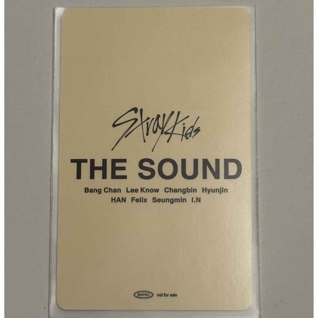 straykids アイエン thesound サイン オフライン