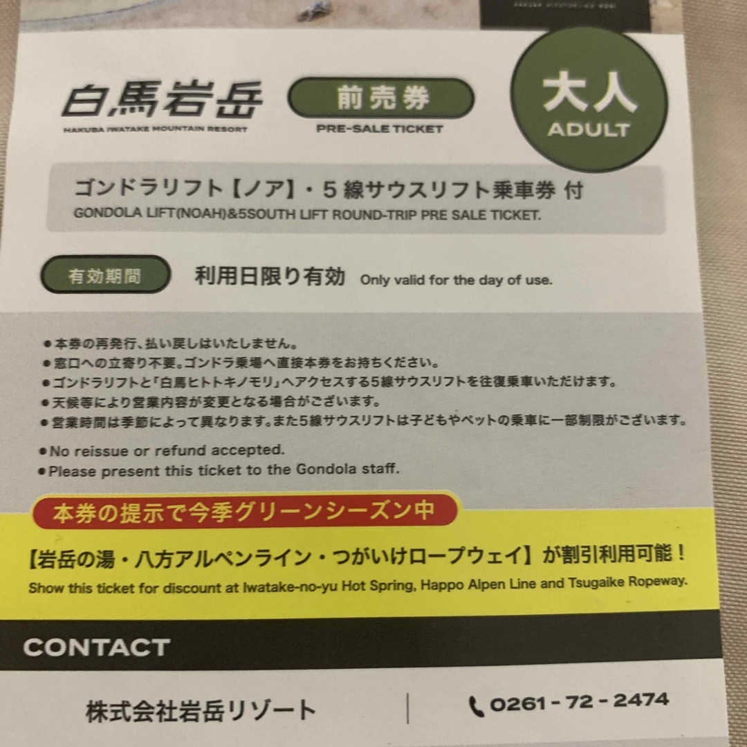 白馬岩岳　ゴンドラリフト乗車券　２枚 チケットの施設利用券(その他)の商品写真