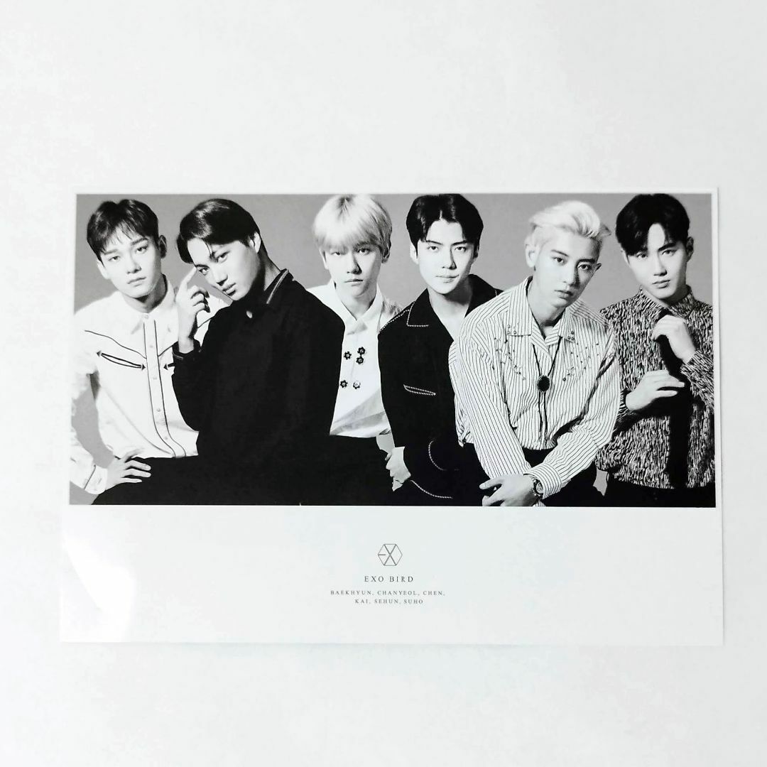 【新品未使用】EXO BIRD 　 カイ トレカ CD DVD