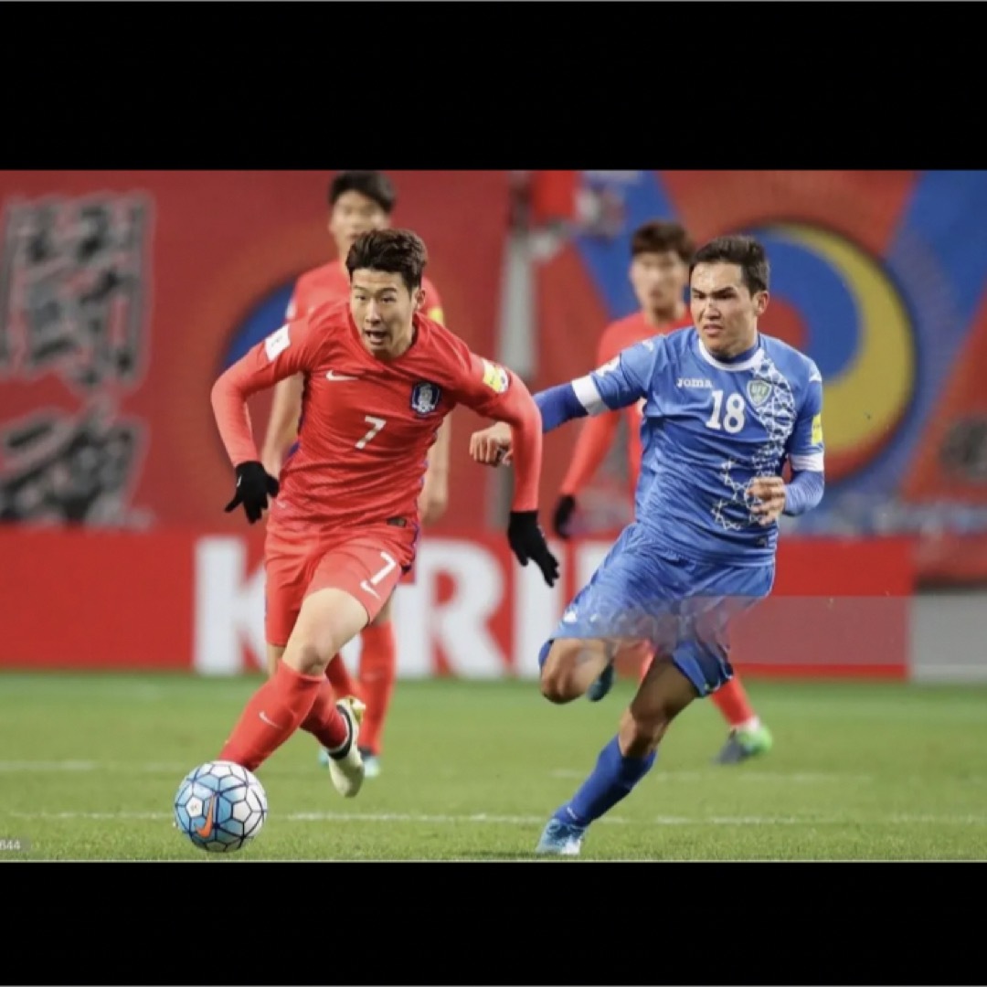 NIKE - 韓国代表 サッカー ストッキング ソックス ナイキ Lサイズの