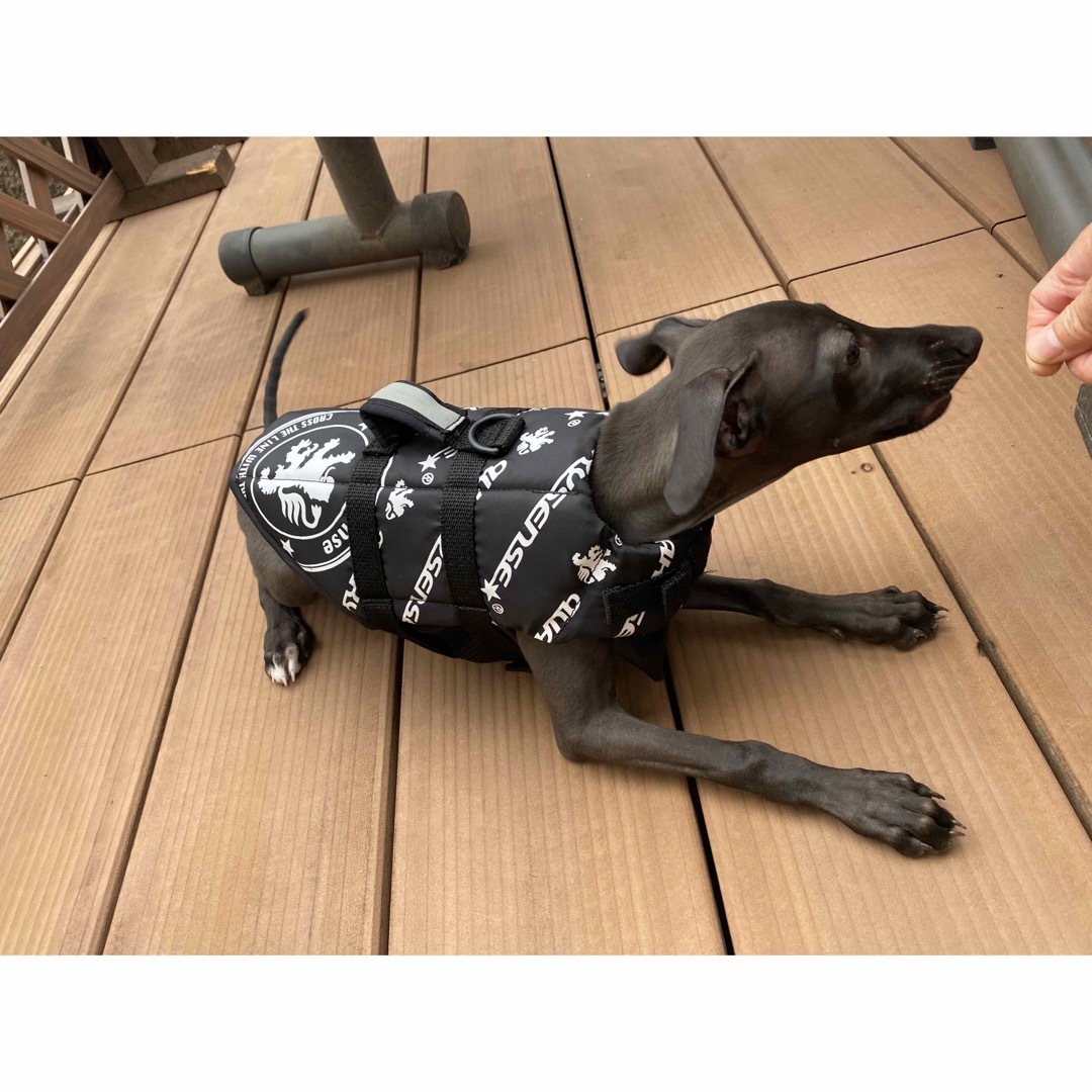 グェーキーセンスEMBLEM DOG VEST ドッグベスト  Ｌ、ＸＬサイズ その他のペット用品(犬)の商品写真