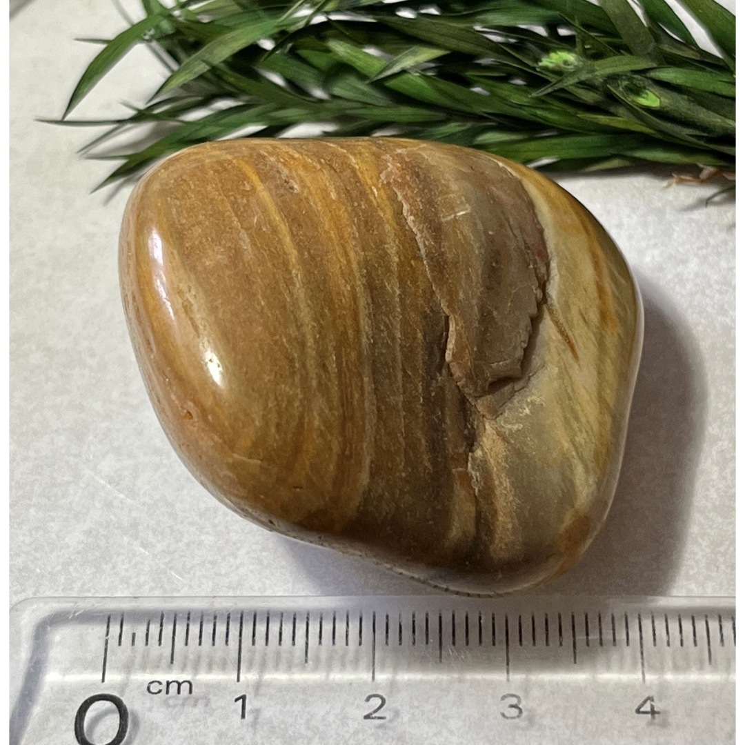 樹の化石✨珪化木　ペトリファイドウッド　原石　タンブル