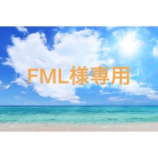 FML様専用(チャーム)