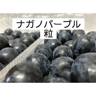 信州ナガノパープル⚫︎粒パック(フルーツ)