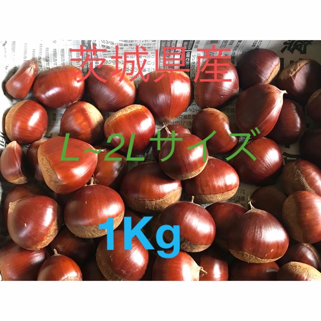 茨城県産 栗 無農薬 1Kg 本日早朝出荷 L〜2L サイズの通販 by けむち's shop｜ラクマ