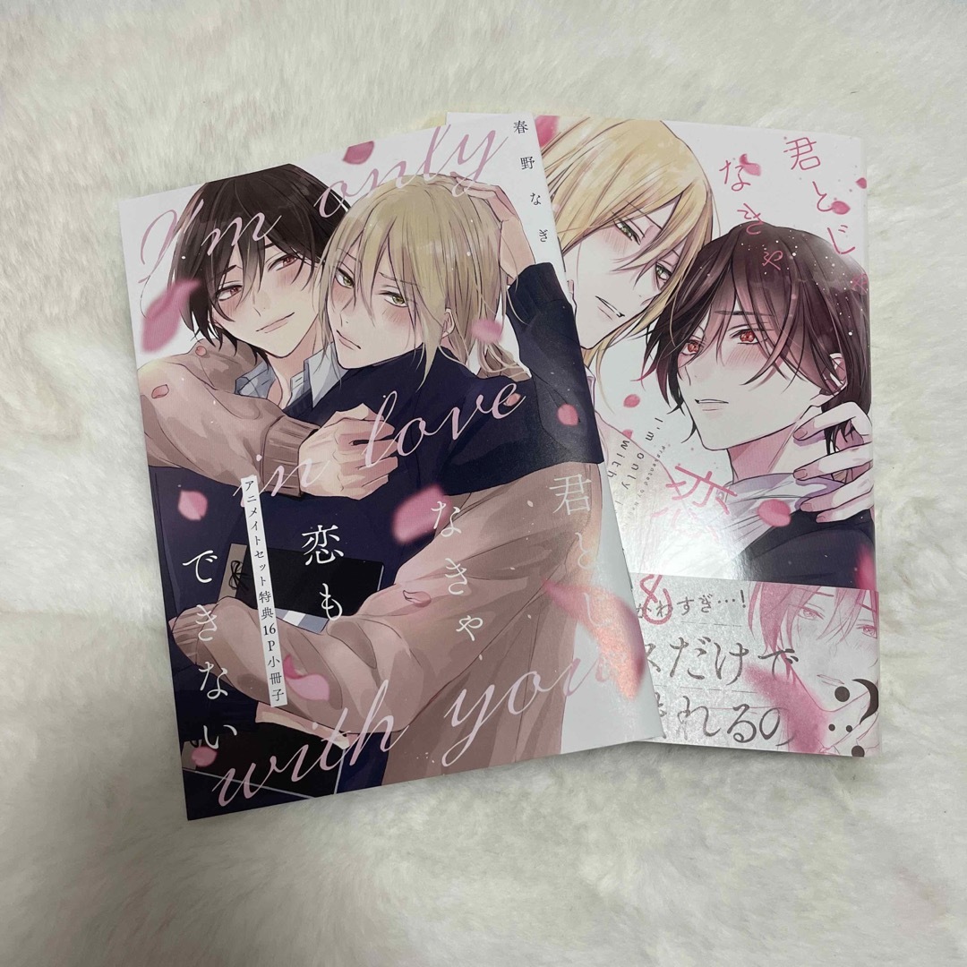 BL  君とじゃなきゃ恋もできない アニメイト限定セット 春野なぎ エンタメ/ホビーの漫画(ボーイズラブ(BL))の商品写真