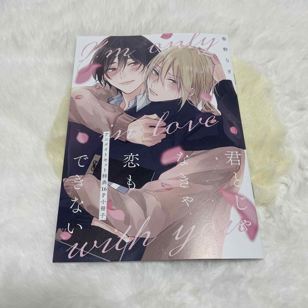 BL  君とじゃなきゃ恋もできない アニメイト限定セット 春野なぎ エンタメ/ホビーの漫画(ボーイズラブ(BL))の商品写真