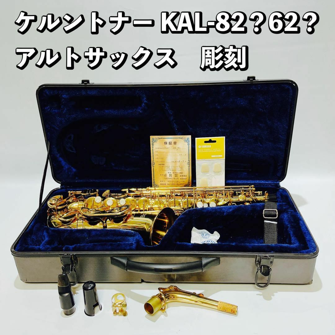 Kaerntner/ケルントナー アルトサックス KAL-82/KAL62 - nayaabhaandi.com