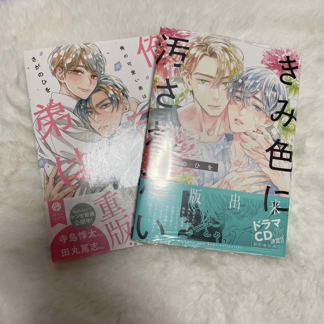 BL きみ色に汚されたい  俺の可愛い弟は さがのひを エンタメ/ホビーの漫画(ボーイズラブ(BL))の商品写真