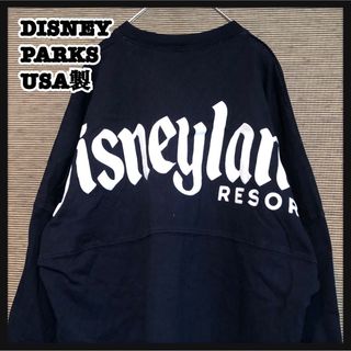 ディズニー(Disney)の【ディズニーパークス】ロンT　デカロゴ　ディズニーランドリゾート　USA製72(Tシャツ/カットソー(七分/長袖))