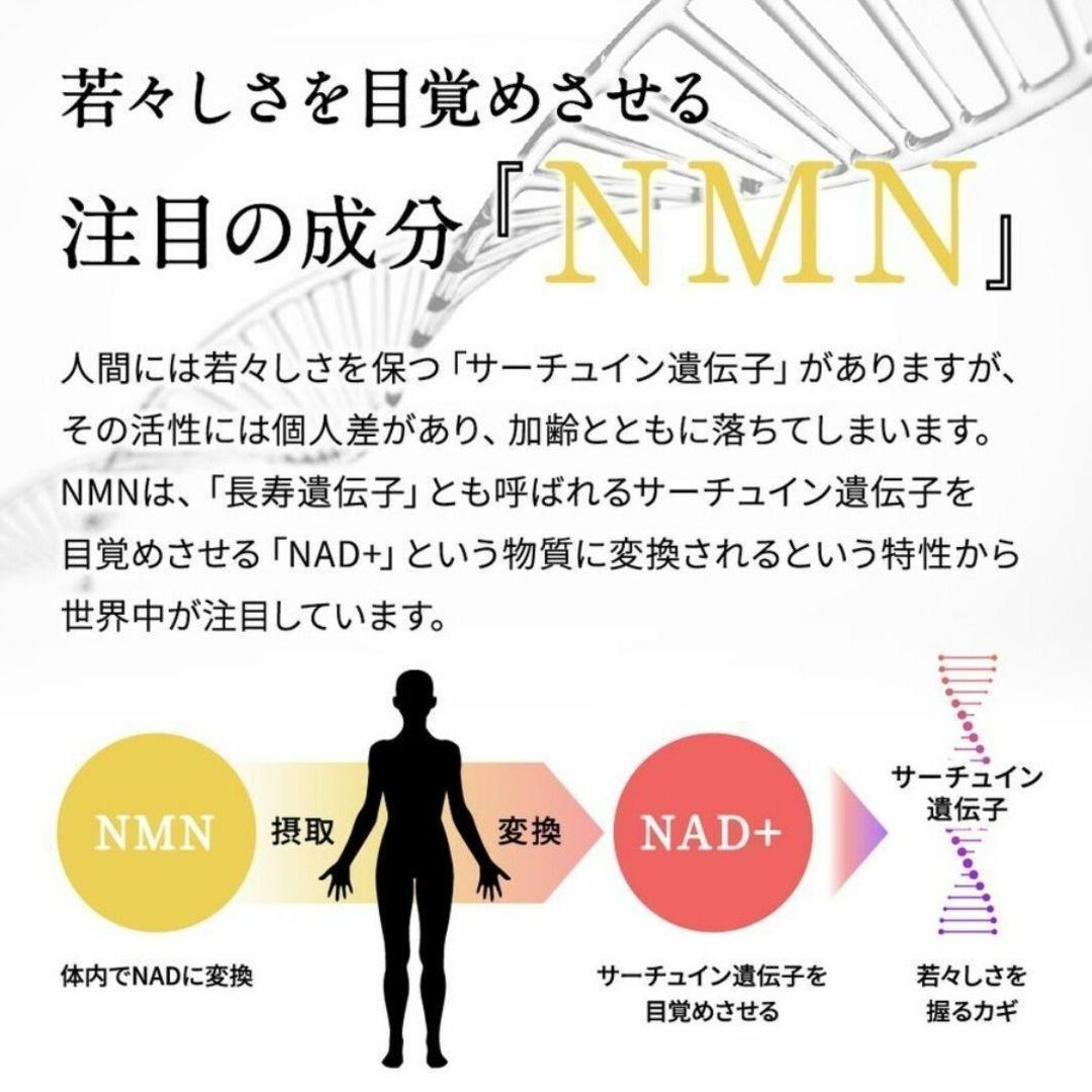 新品 NMN サプリ ニコチンアミドモノヌクレオチド 6ヶ月 シードコムス 7