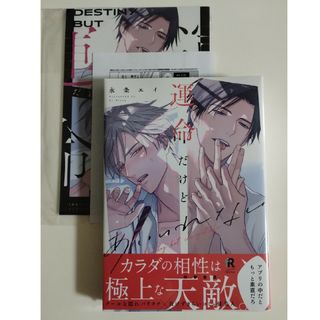 運命だけどあいいれない　アニメイト特典付き(ボーイズラブ(BL))