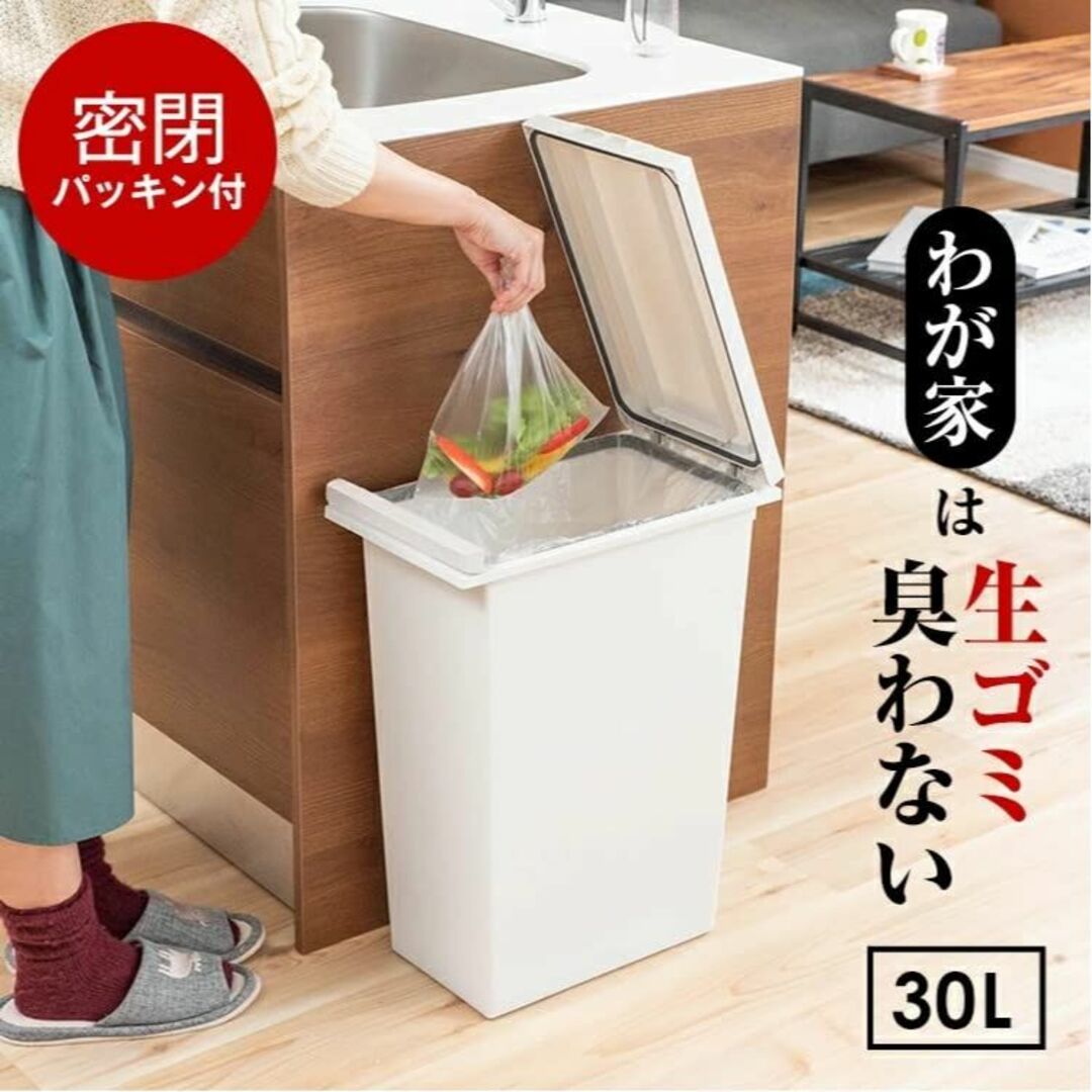 アスベル フタ付きゴミ箱 ECエバンMPプッシュ ニオイ漏れ防ぐ 30L 白 簡