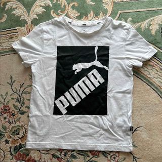 プーマ(PUMA)のPUMA Tシャツ　130cm(Tシャツ/カットソー)