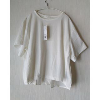 サマンサモスモス(SM2)のサマンサモスモスブルー　バックフリルTシャツ(Tシャツ(半袖/袖なし))