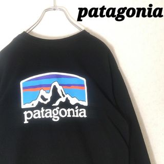 パタゴニア(patagonia)のKD26様【完売品】パタゴニア　フィッツロイ・ホライゾンズ・アップライザル(Tシャツ/カットソー(七分/長袖))