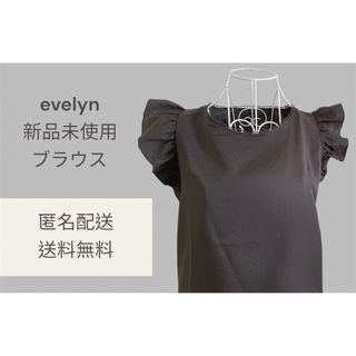 エブリン(evelyn)の【evelyn 定価5000円】フリル ブラウス シャツ レディース エブリン(シャツ/ブラウス(半袖/袖なし))