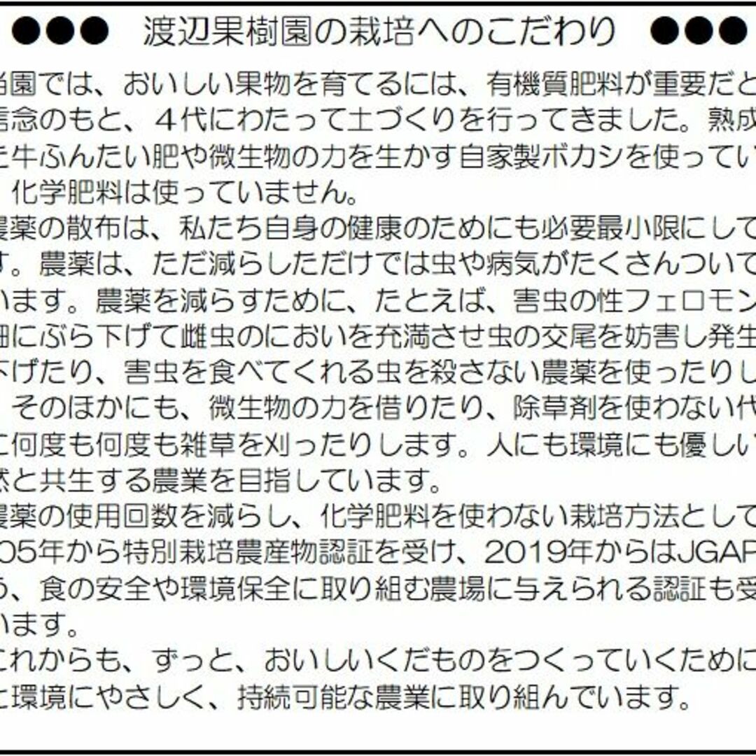 おためし種あり巨峰ぶどう箱込1ｋｇ【特別栽培】福島市の通販 by 渡辺果樹園's shop｜ラクマ