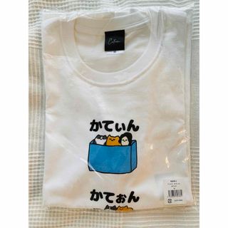 【新品・未使用】かてぃん Tシャツ　Mサイズ（ユニセックス）(ミュージシャン)