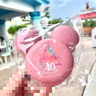 ディズニー(Disney)のディズニー　40周年 マカロン　ケース　スーベニア(キャラクターグッズ)