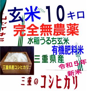 無農薬　有機肥料米　令和５年新米　三重県産コシヒカリ　玄米１０キロ　全国送料込②(米/穀物)