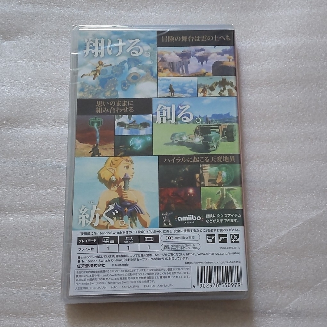 ゼルダの伝説　ティアーズ オブ ザ キングダム 1