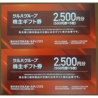 ツルハ株主優待 株主ギフト券5000円分(ショッピング)