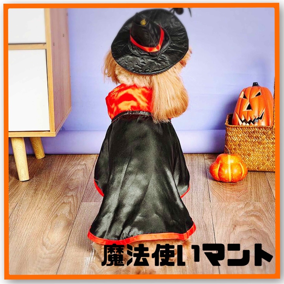 犬 猫 服 仮装 魔法使い かわいい ハンドメイドのペット(ペット服/アクセサリー)の商品写真