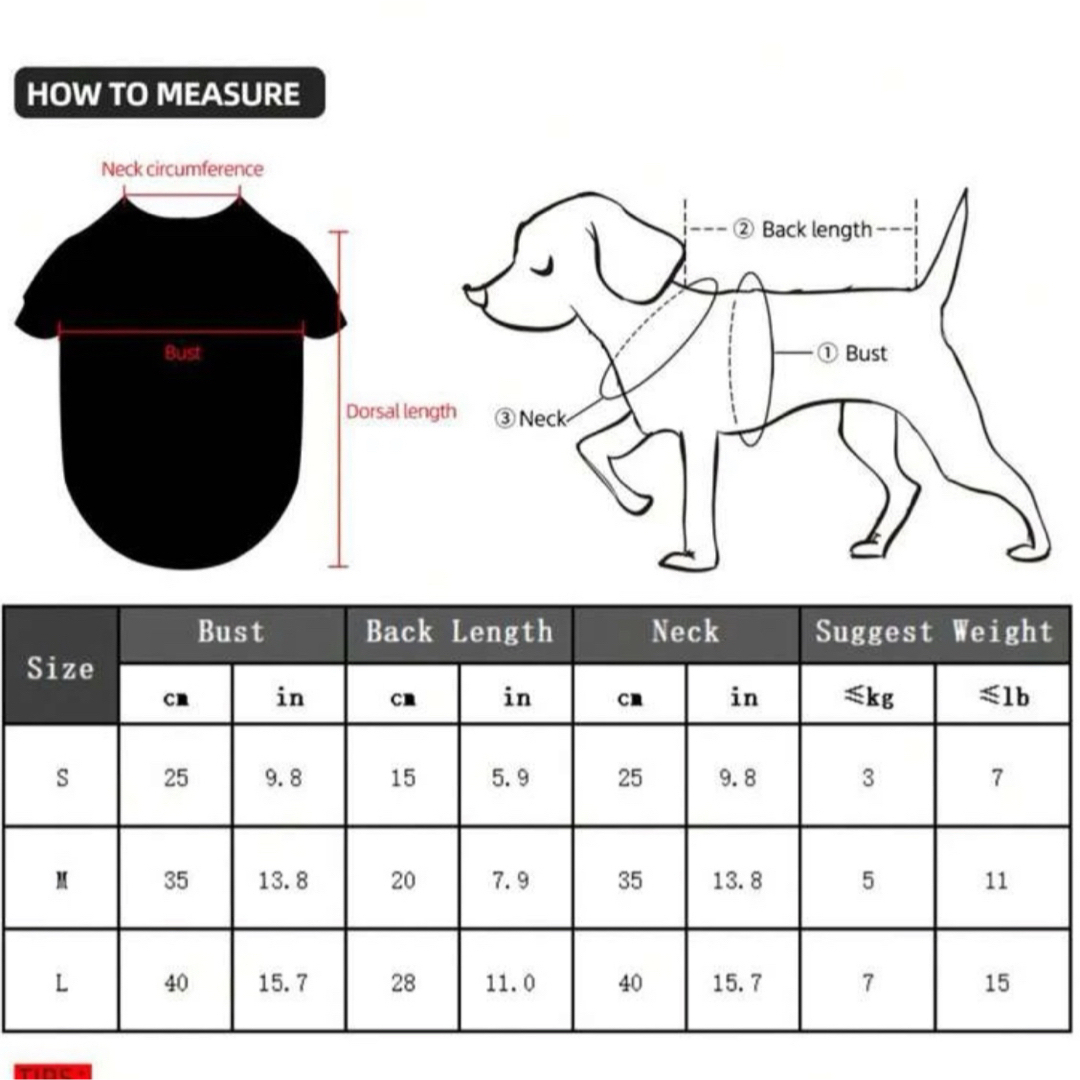 犬 猫 服 仮装 魔法使い かわいい ハンドメイドのペット(ペット服/アクセサリー)の商品写真