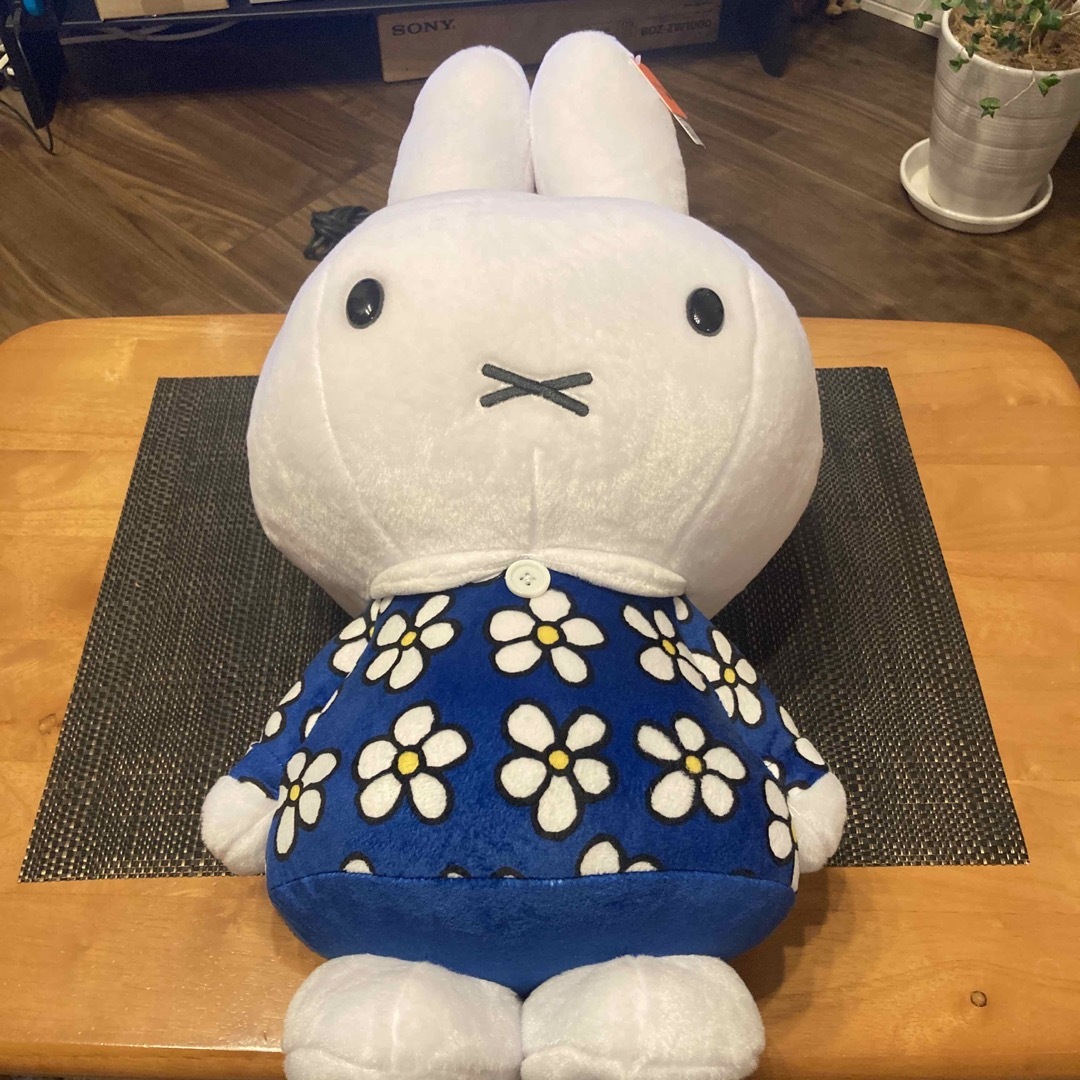 miffy - ミッフィー GRAN+ ぬいぐるみ おたんじょうび miffy - ミッフィー GRAN+ ぬいぐるみ おたんじょうび