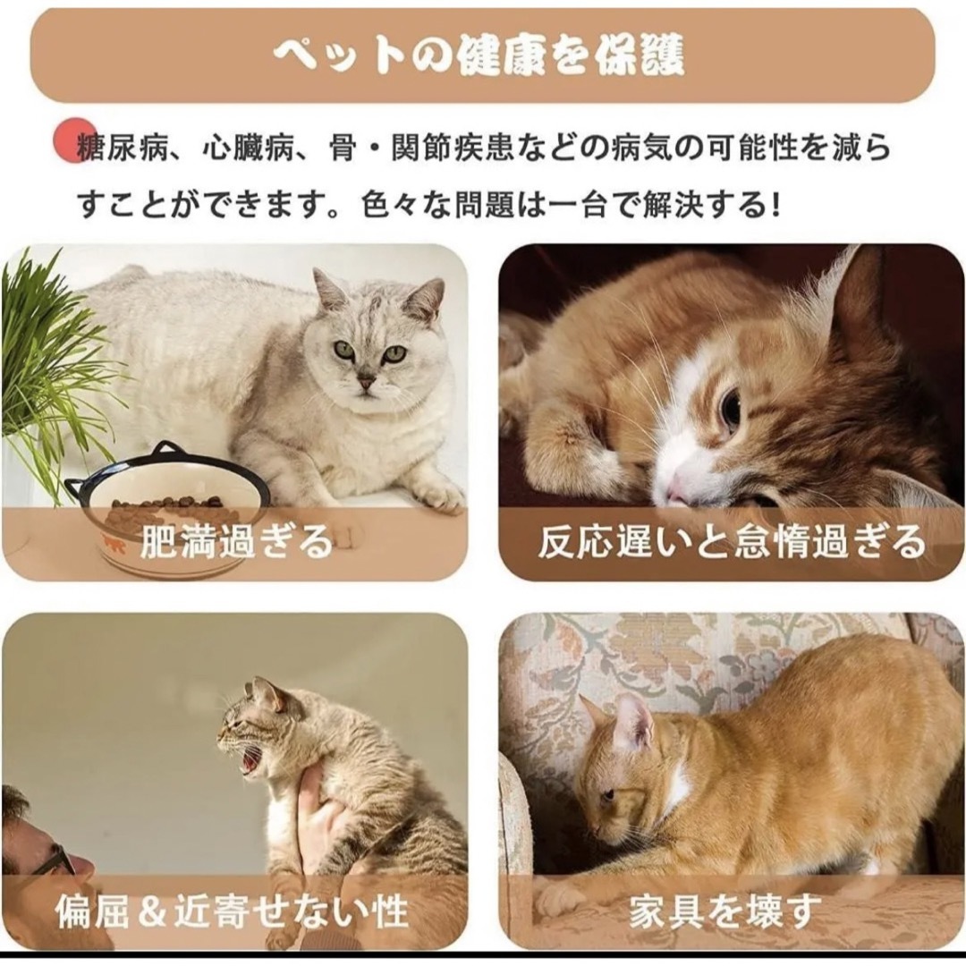 新品未使用 キャットホイール 室内猫 トレッドミル ランニングマシンの