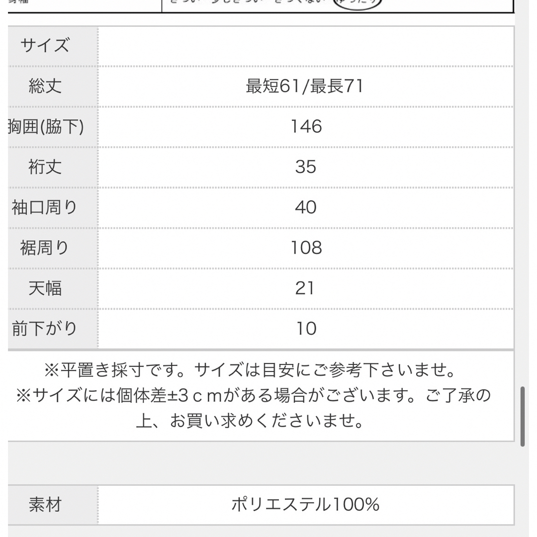 antiqua(アンティカ)のutuna様専用　アンティカ　シアードルマントップス レディースのトップス(カットソー(半袖/袖なし))の商品写真