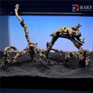 MSW-4129 天然流木3本セット アクアリウムの通販 by RAKYPET®️｜ラクマ