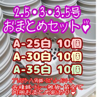 プラ鉢30個セット♪【A-25・A-30・A-35 各10個】プレステラ多肉(プランター)