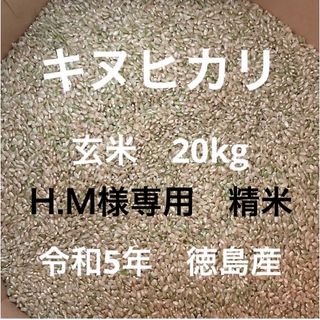 キヌヒカリ 玄米 20kg 令和5年 徳島産(米/穀物)