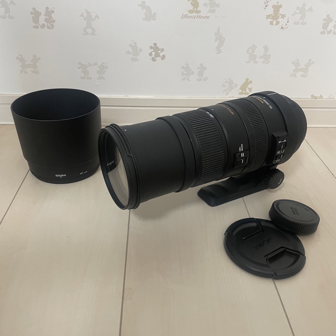 SIGMA APO 150-500mm F5-6.3 DG OS HSM-silversky-lifesciences.com