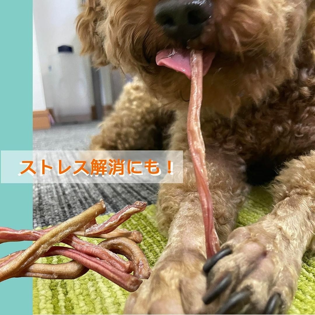 ペット 犬 おやつ 無添加 天然素材 ラムジャーキー国産 歯磨きガム 日本製  その他のペット用品(ペットフード)の商品写真