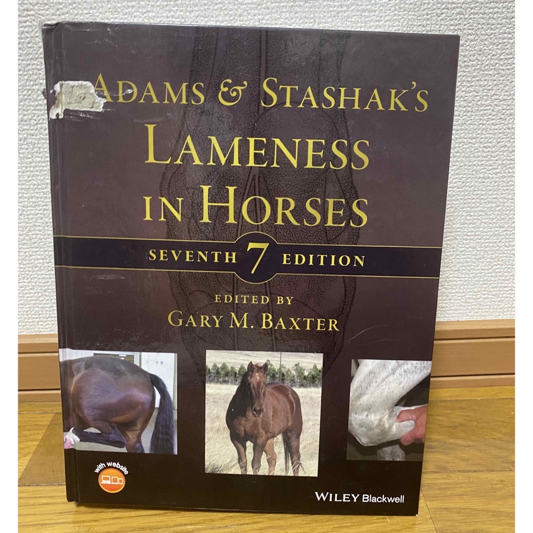 Adams and Stashak’s Lameness in Horsesのサムネイル