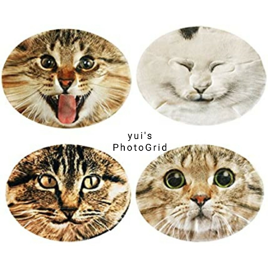 なりきりフェイスパック　猫　３枚セット　バラの香り コスメ/美容のスキンケア/基礎化粧品(パック/フェイスマスク)の商品写真