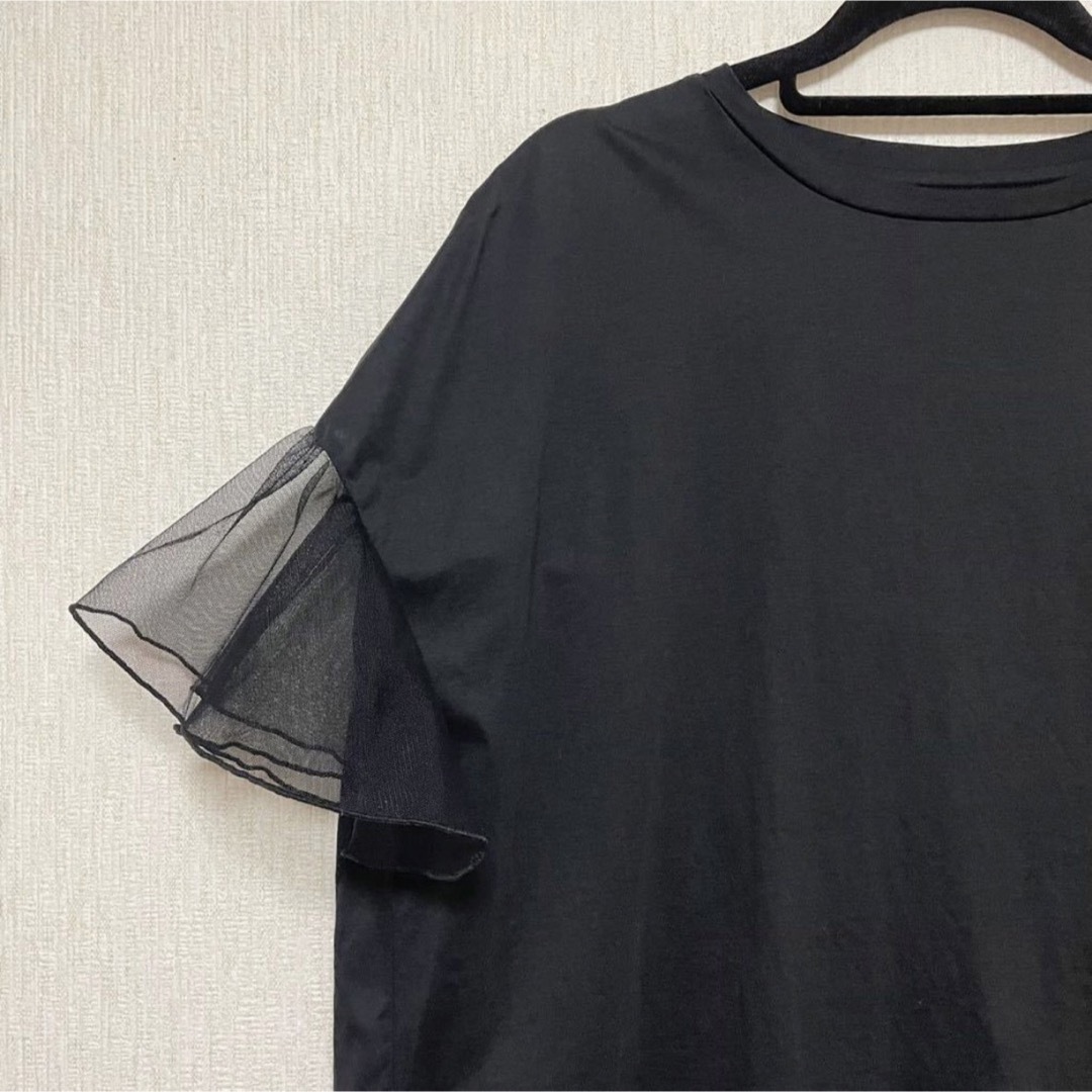 新品 スコットクラブ  フェンネル Tシャツ