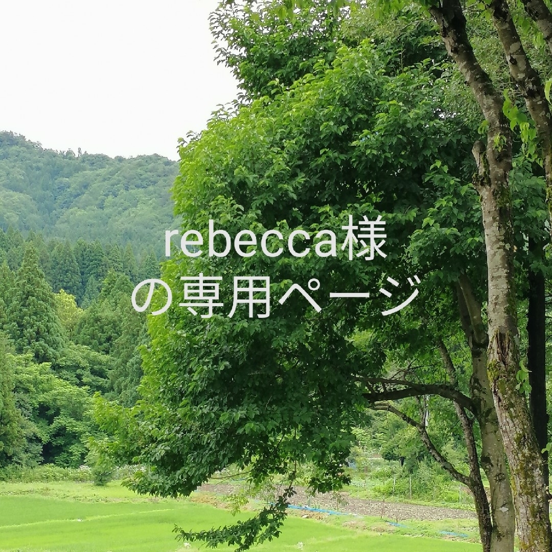 rebecca様の専用ページの通販 by KAZU's shop|ラクマ
