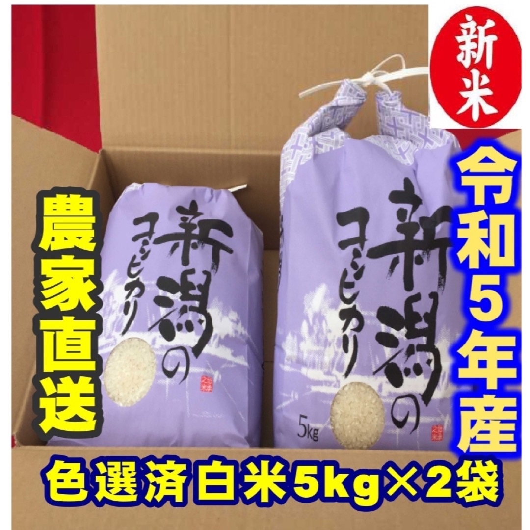 白米5kg×2個☆農家直送☆色彩選別済　米/穀物　新米　令和5年産新潟コシヒカリ